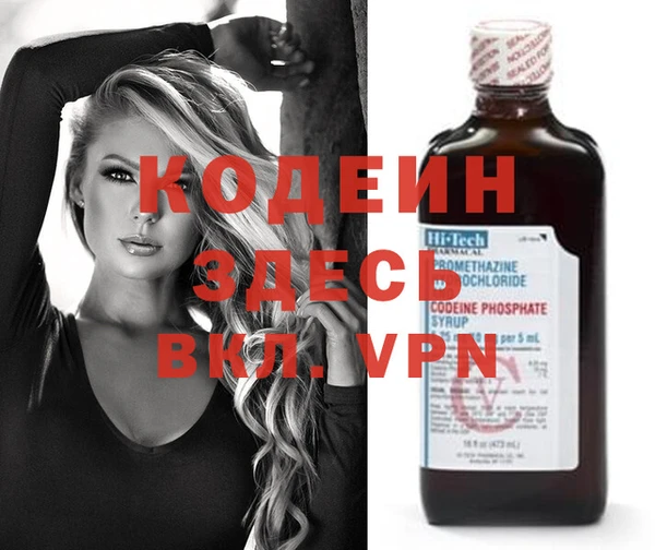 шишки Галич