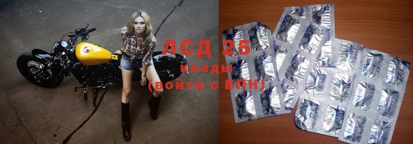 индика Гатчина